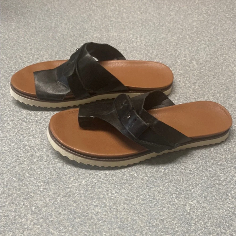 Black and Brown Slide Sandals with Buckle Details